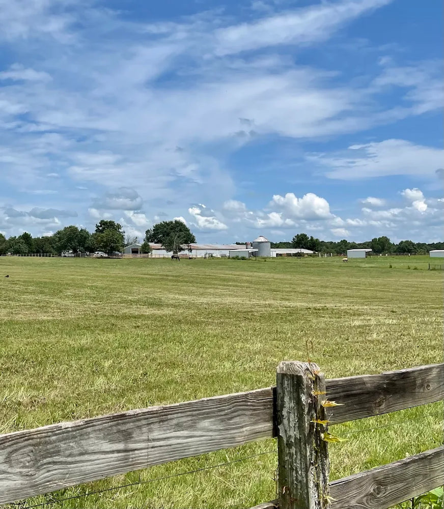 
                      
                        Liberty Stable & Camp
                      
                    