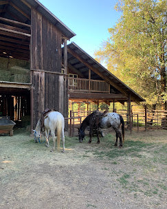 
                      
                        Marble Mountain Ranch
                      
                    