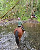 Rebers Ranch