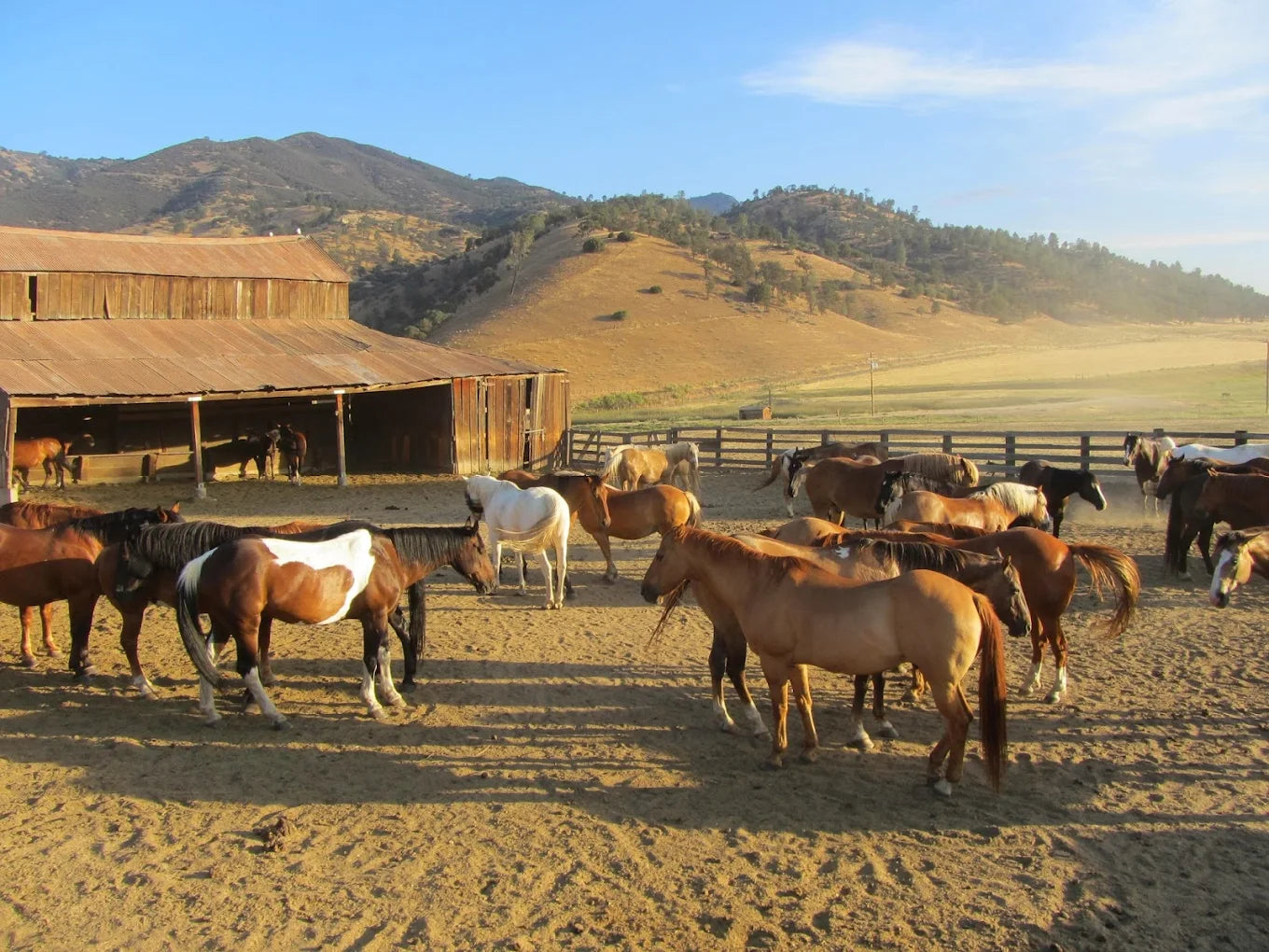 Rankin Ranch