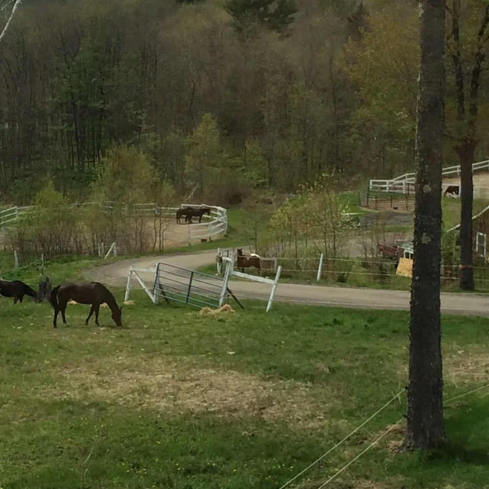Hidden Valley Equestrian Center, Inc