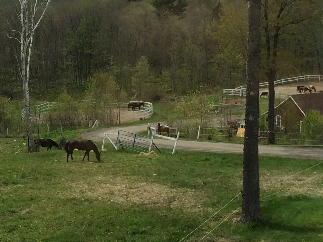 Hidden Valley Equestrian Center, Inc