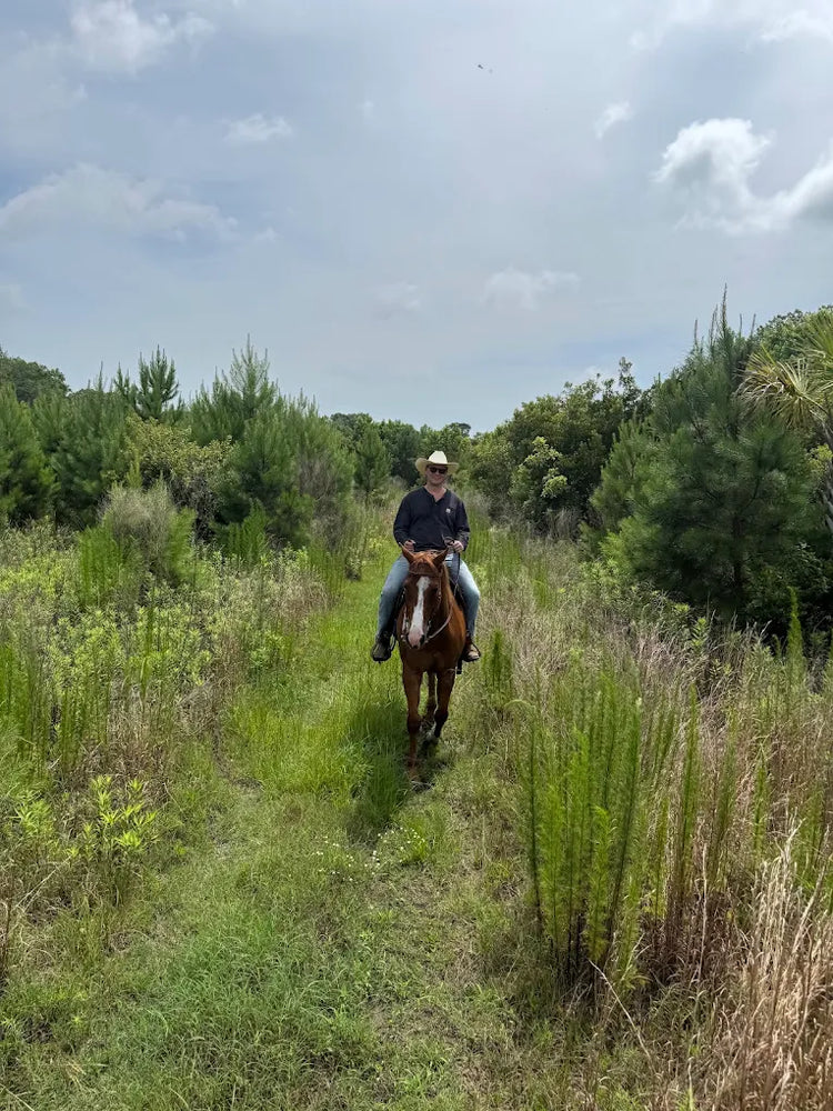 
                      
                        Wimbee Creek Equestrian
                      
                    