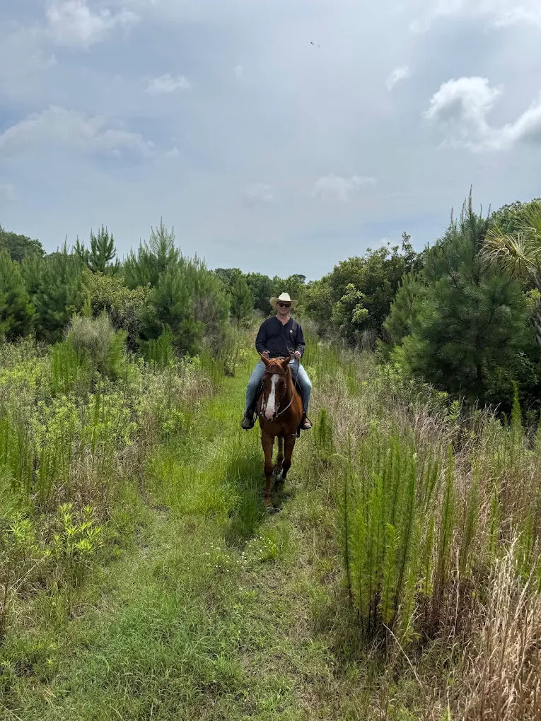 Wimbee Creek Equestrian