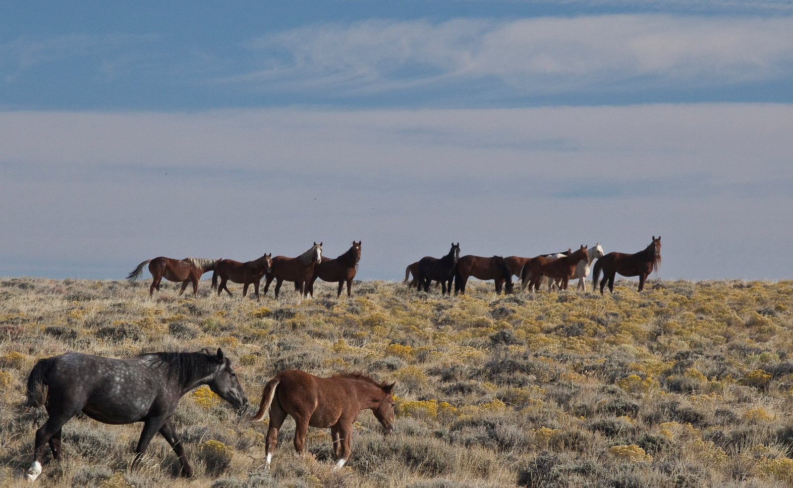 Wyoming