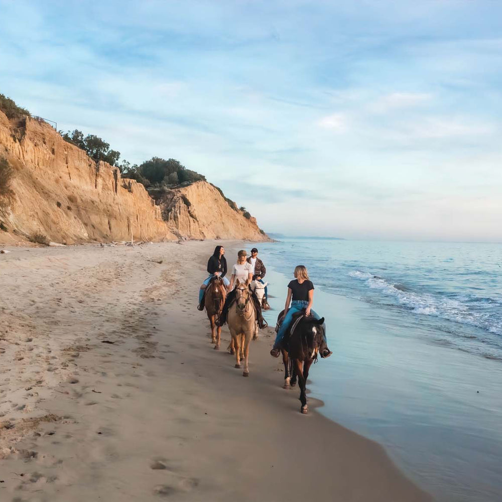 
                      
                        Los Padres Outfitters - CA
                      
                    