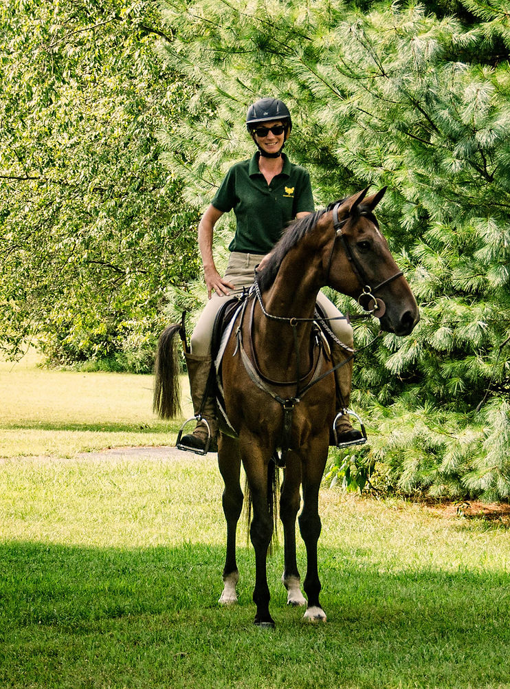 Shenandoah Sporthorses