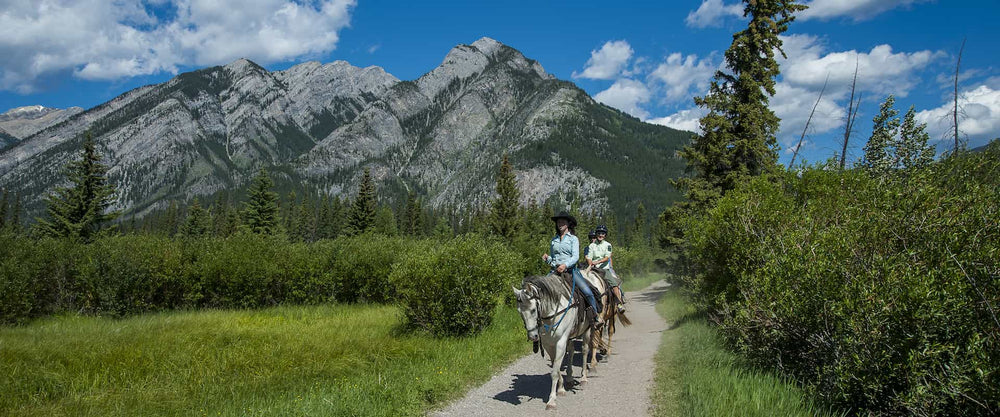 
                      
                        Banff Trail Riders - Stables: Banff National Park: Bow River Horseback Ride
                      
                    