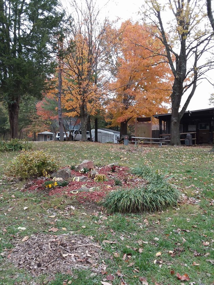 Bear Branch Horse Resort