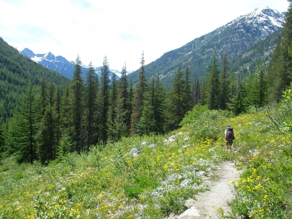 North Cascades National Park: Bridge Creek Camp