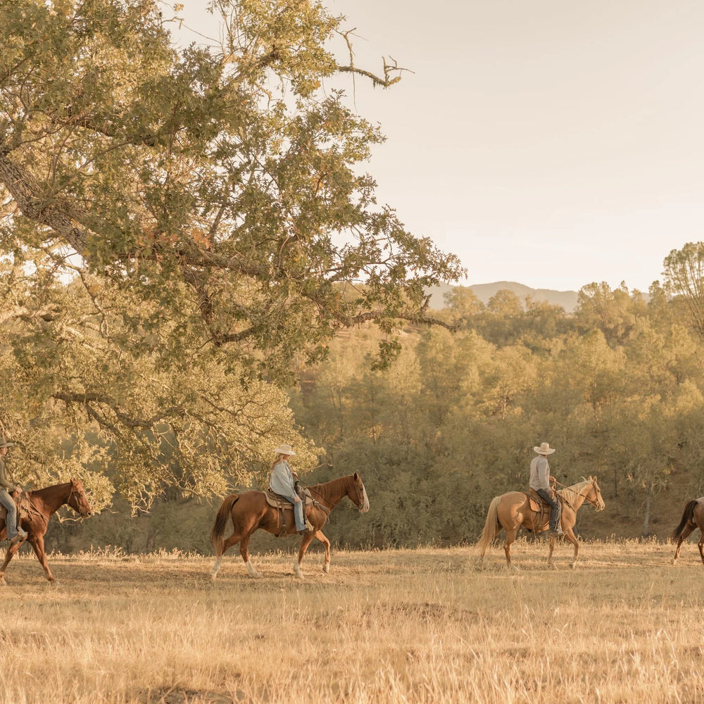 Central Coast Trailrides