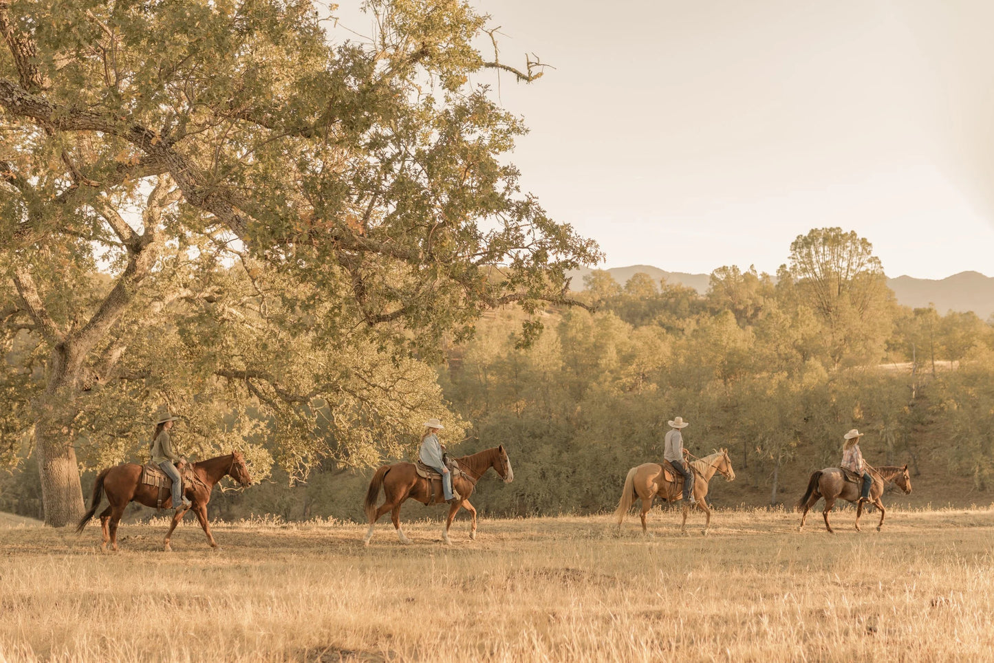 Central Coast Trailrides