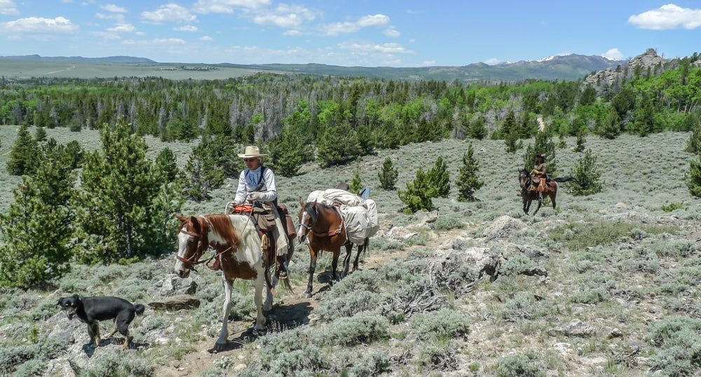 Wind River: Wind River Country Wyoming