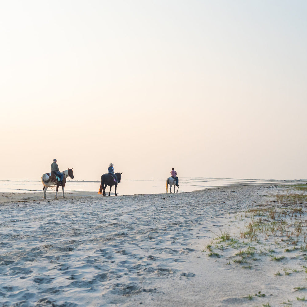
                      
                        Cedar Island Ranch
                      
                    