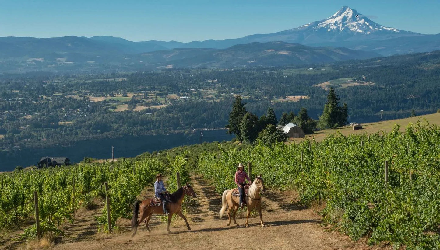 Equestrian Wine Tours