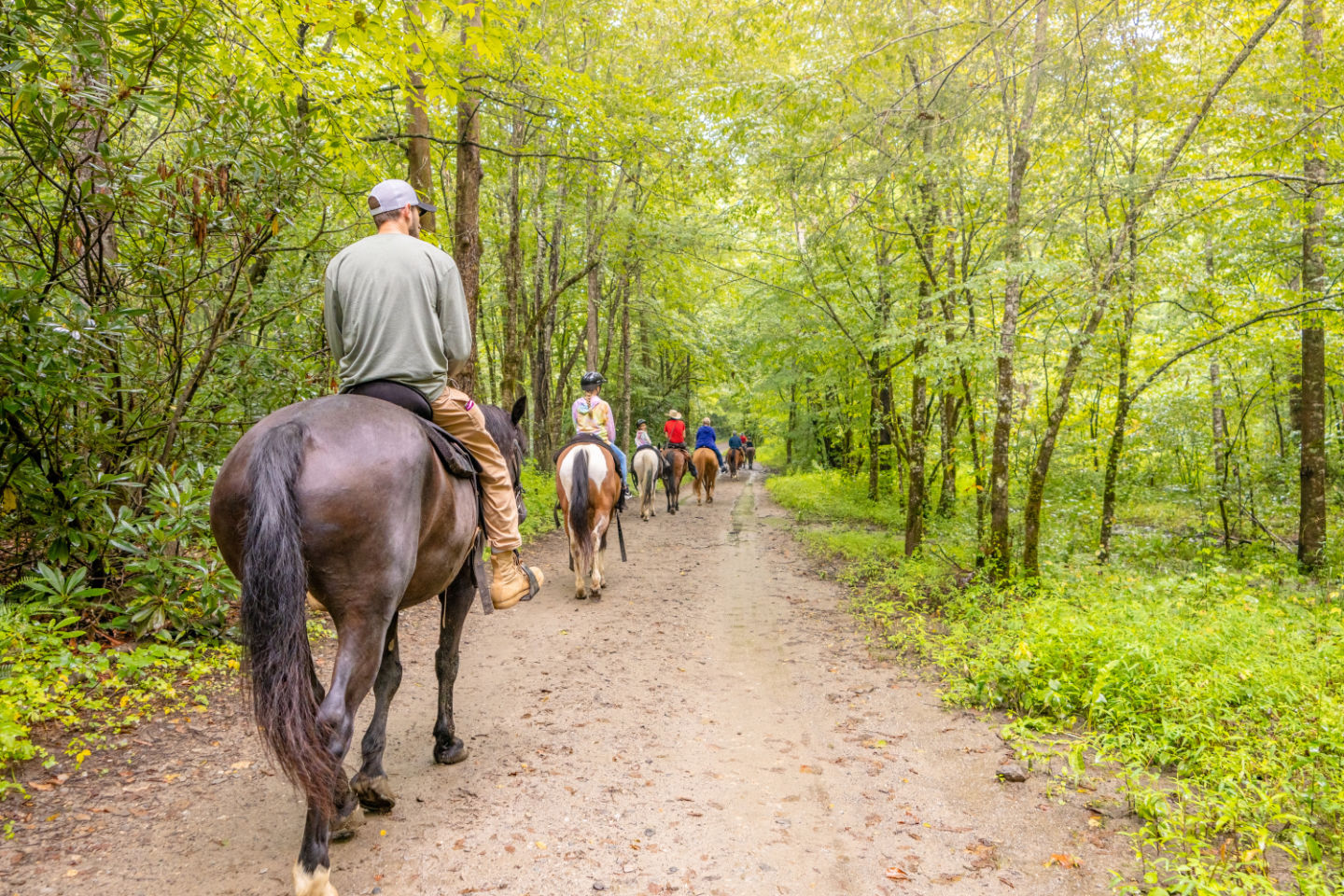 Tsali Recreation Area - Old Horse Camp