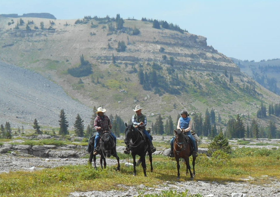 Dry Ridge Outfitters: Wyoming and Idaho Horseback Riding Adventures
