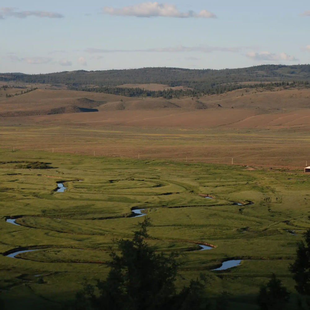 
                      
                        The Retreat At Silvies Valley Ranch
                      
                    