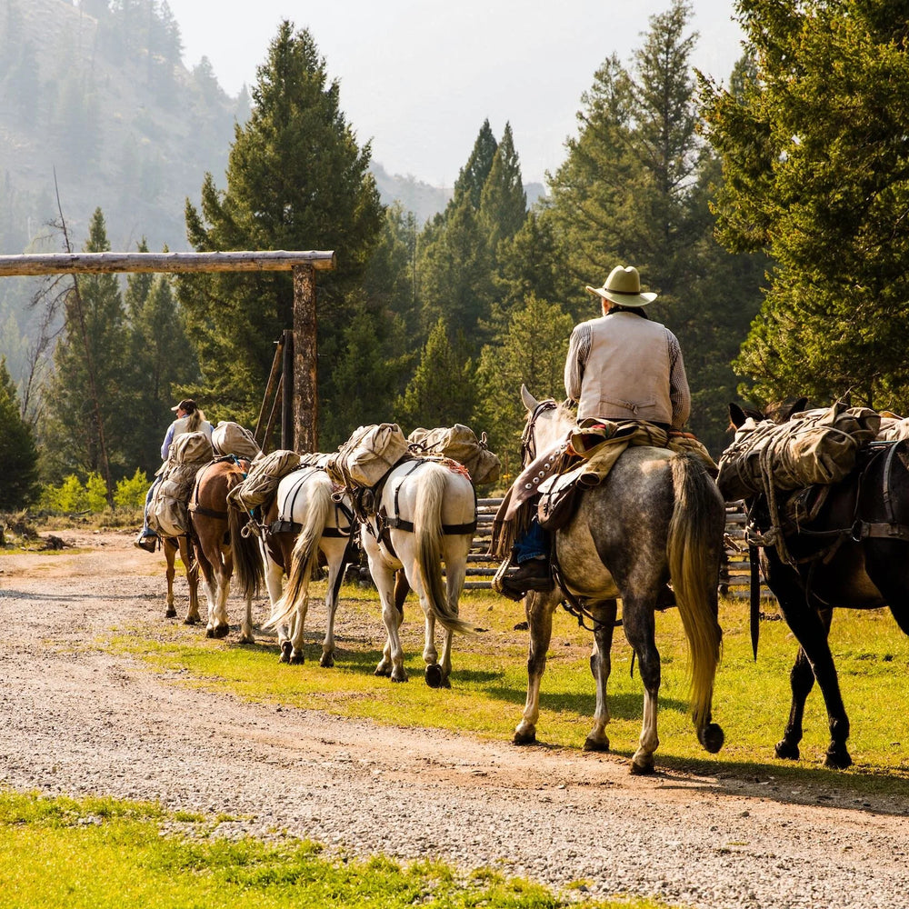 
                      
                        Diamond D Ranch - Idaho
                      
                    