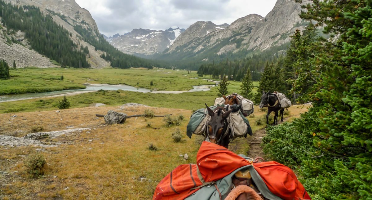 Wind River: Wind River Country Wyoming