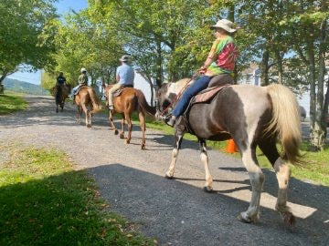 Mountain Trail Rides Horseback Riding & More