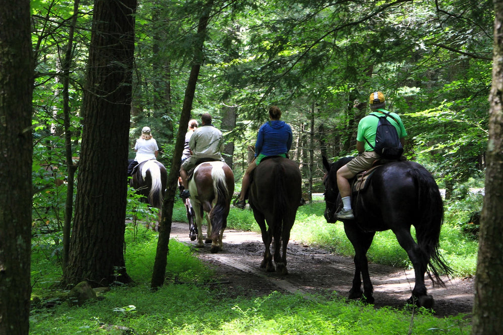 Great Smoky Mountains: Big Creek Horse Camp