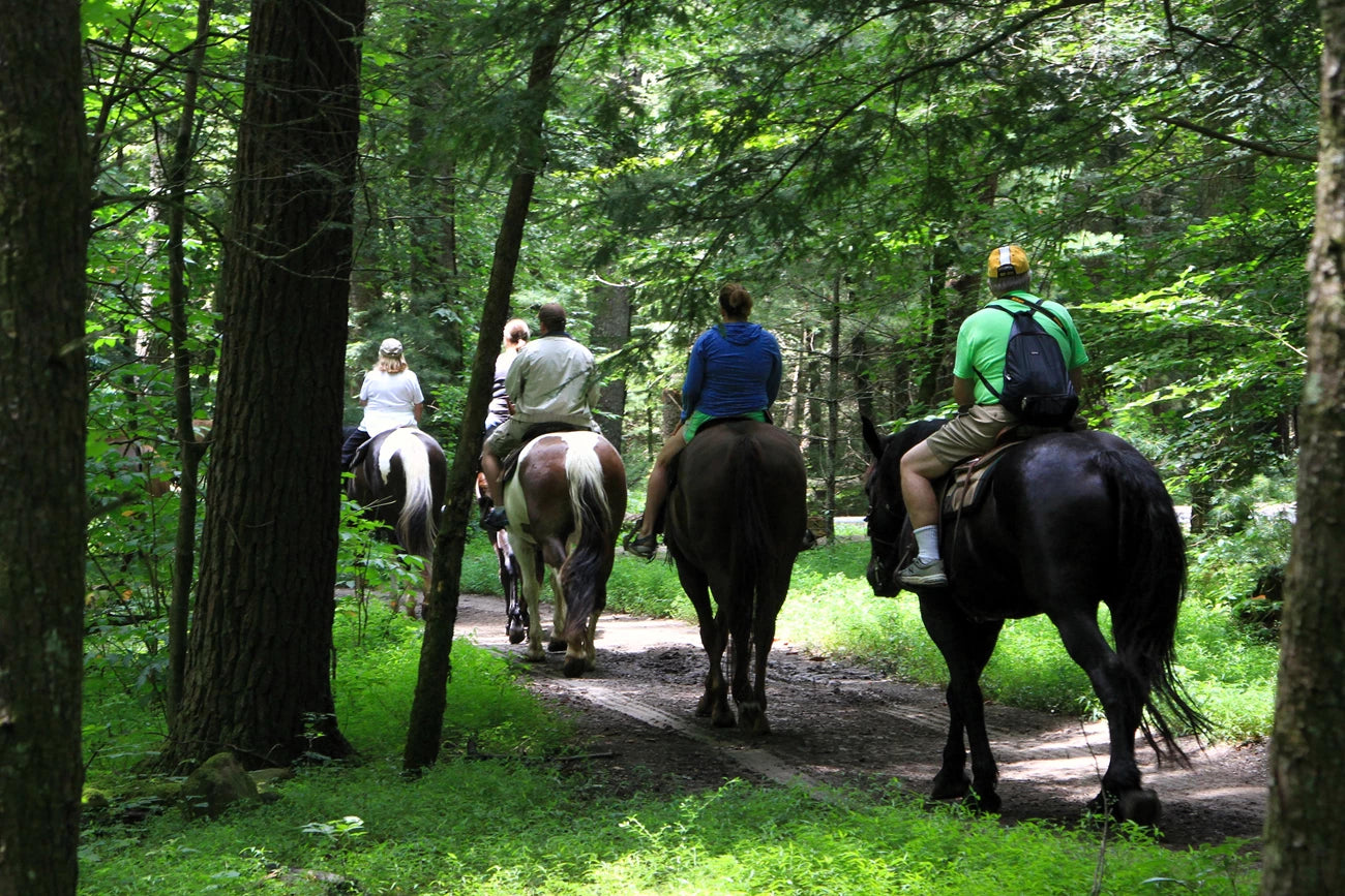 Great Smoky Mountains: Big Creek Horse Camp
