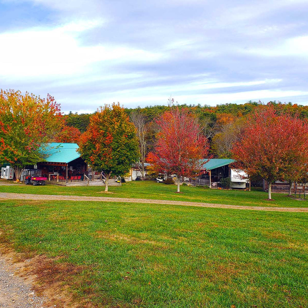 
                      
                        Iron Mountain Horse Camp
                      
                    