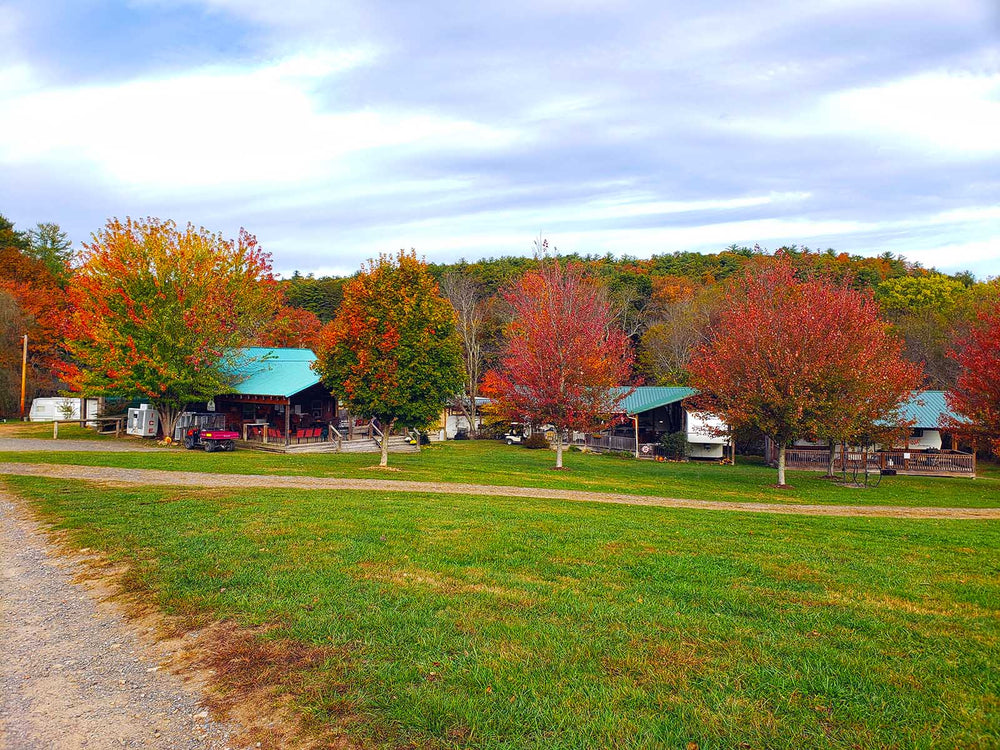 Iron Mountain Horse Camp