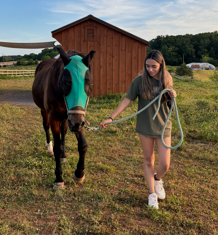 
                      
                        Equine Connection Center
                      
                    