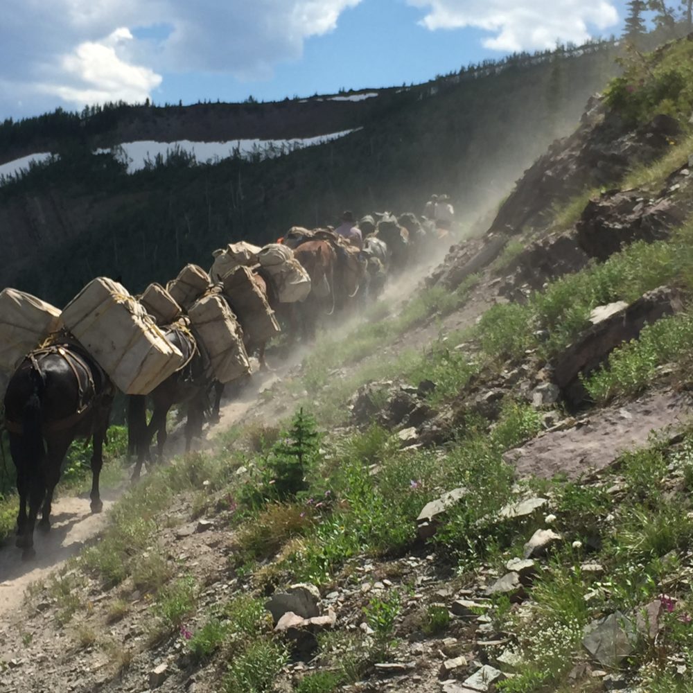 
                      
                        Mills Wilderness Adventures of Montana
                      
                    