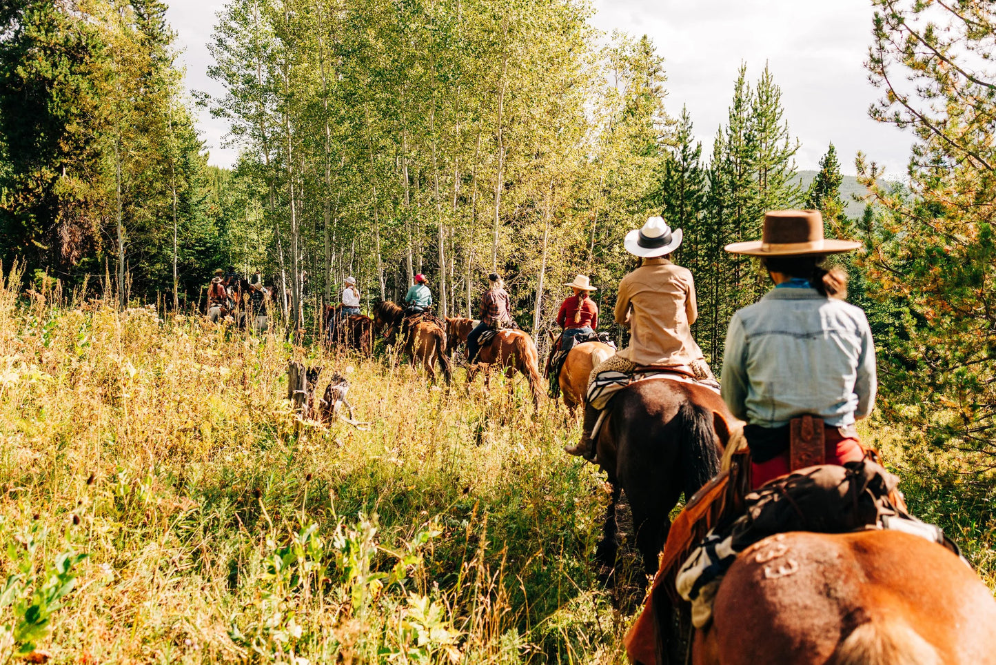 Wilderness Trails Outfitters