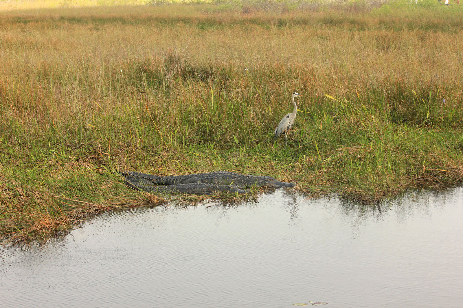 Florida