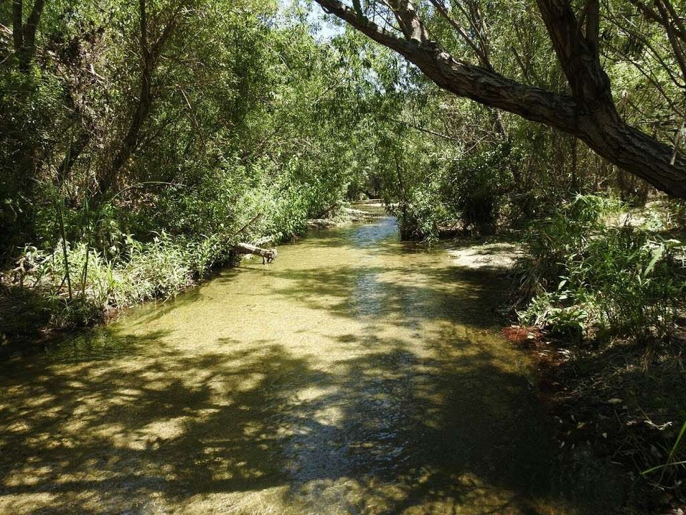 Monte Verde Ranch