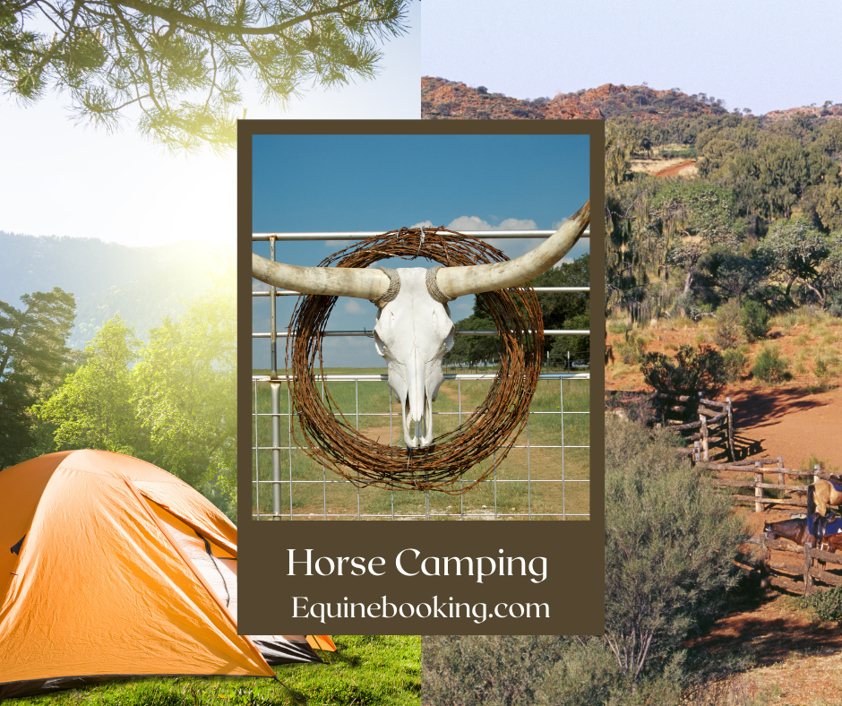 EquineBooking.com