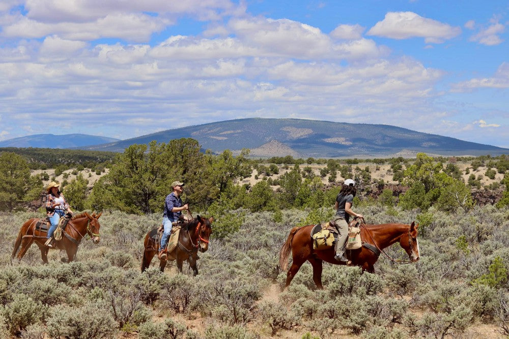 Rio Grande Stables