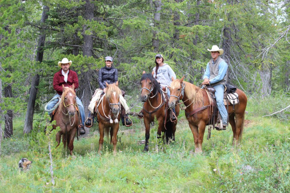 
                      
                        Mills Wilderness Adventures of Montana
                      
                    