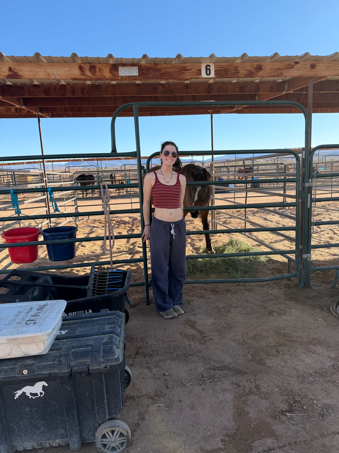 Reinmakers Equestrian Park