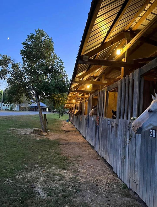 GREEN RIVER STABLES - KY