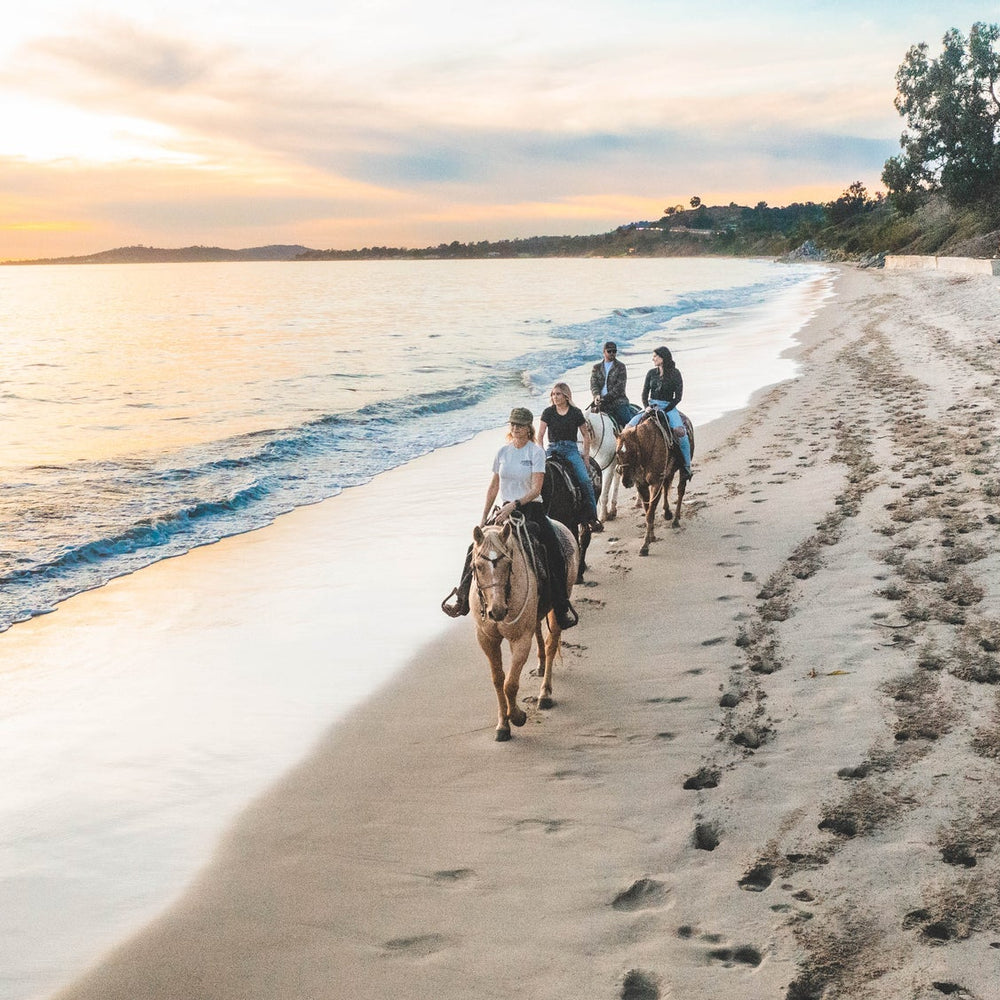 
                      
                        Los Padres Outfitters - CA
                      
                    