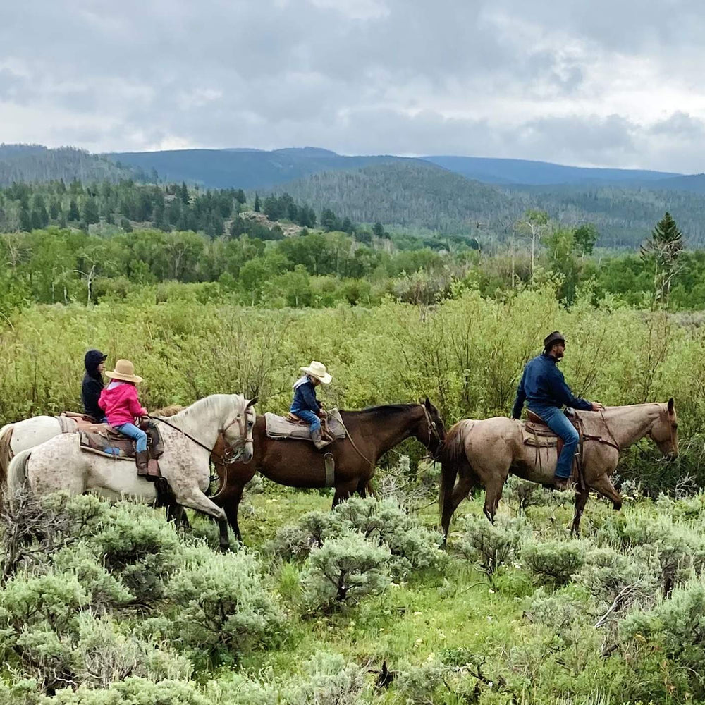 Medicine Bow Lodge