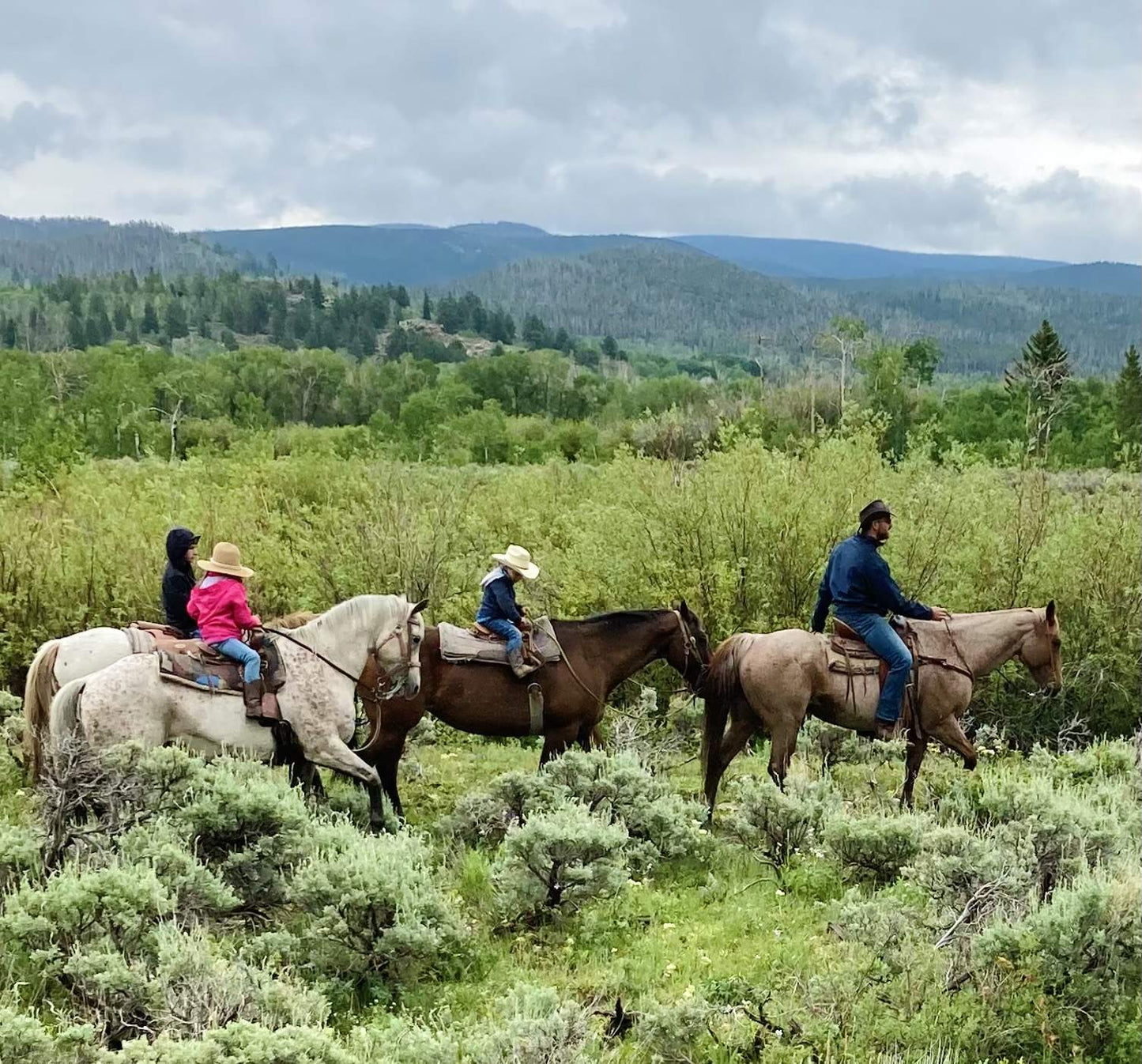 Medicine Bow Lodge