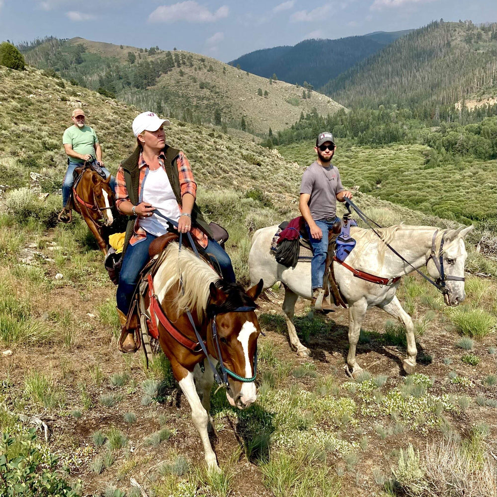 Medicine Bow Lodge