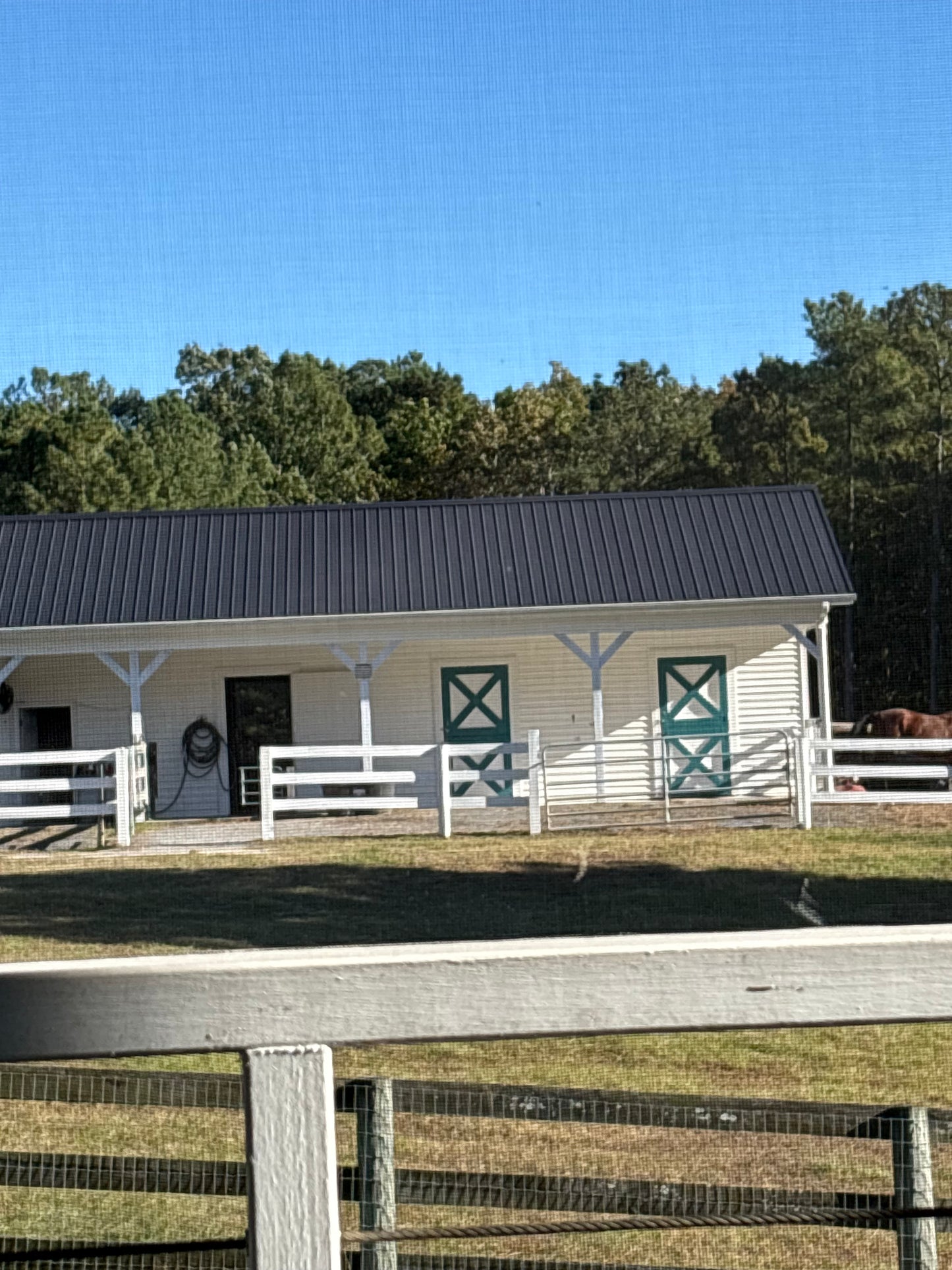 Happy Horse and Pets- NC