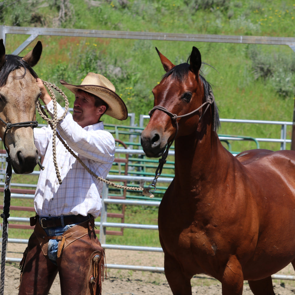 Idaho Guest Ranch