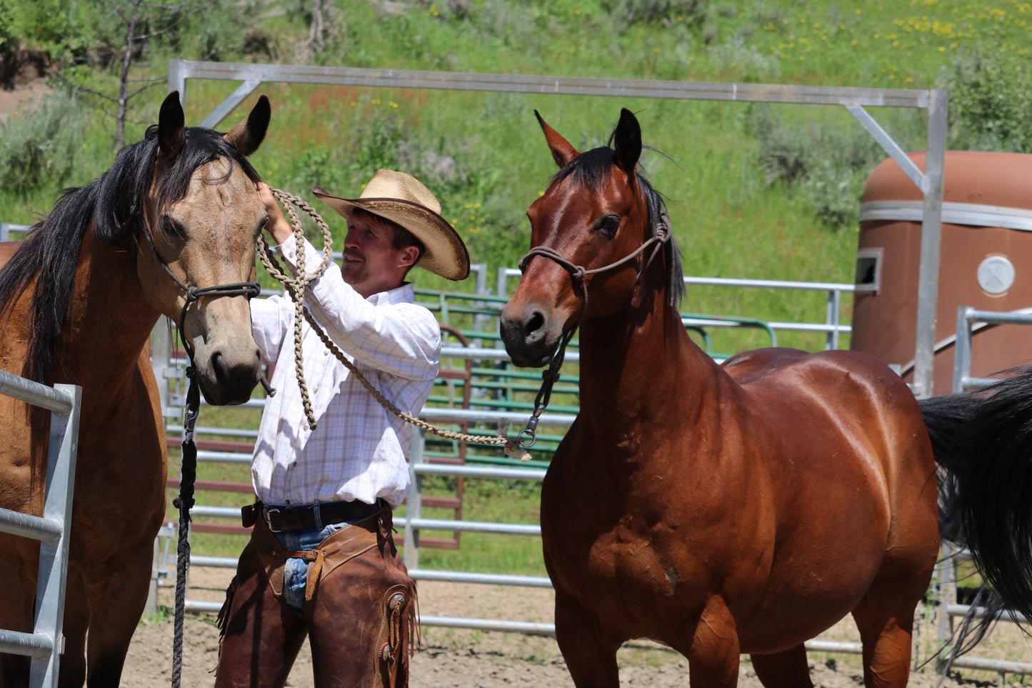 Idaho Guest Ranch