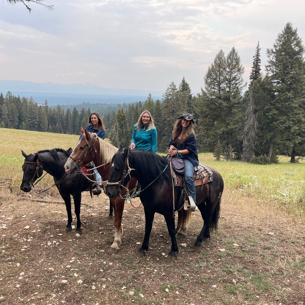 The Diamond P Ranch