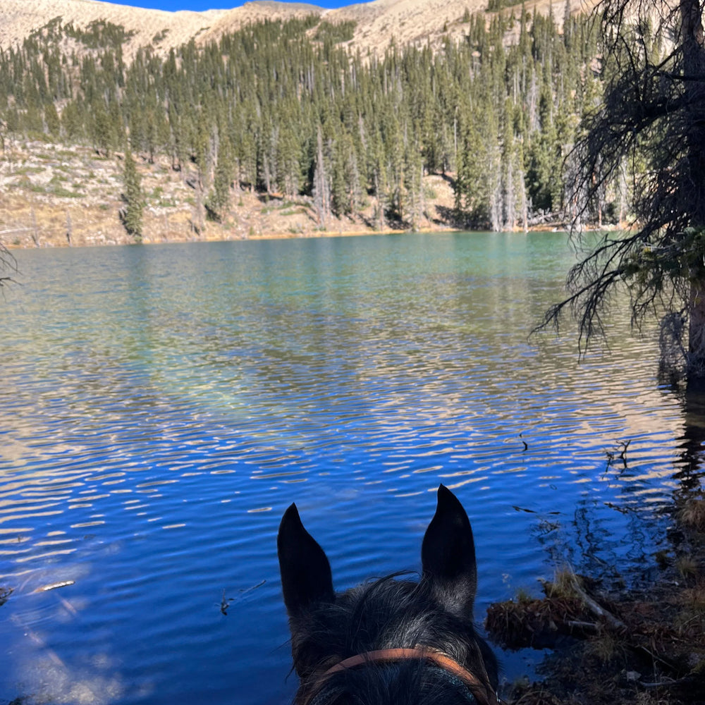 3R Coss LLC 3R Cross Adventures