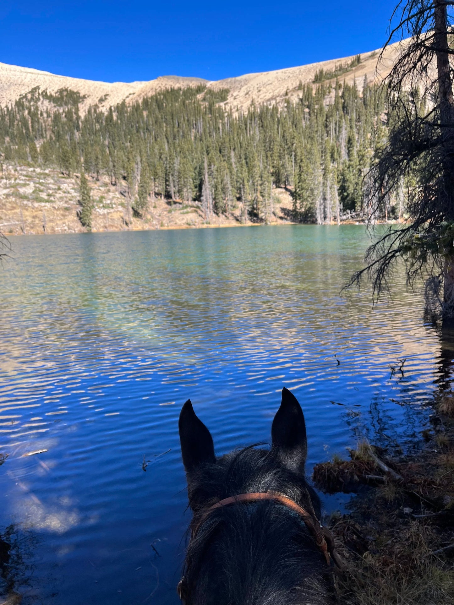 3R Coss LLC 3R Cross Adventures