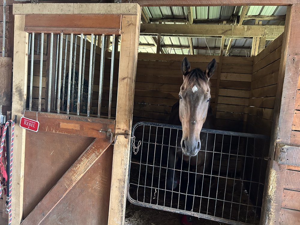 
                      
                        Shadow Ridge Stables
                      
                    